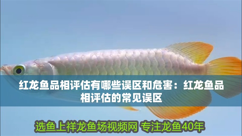紅龍魚品相評估有哪些誤區和危害：紅龍魚品相評估的常見誤區