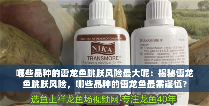 哪些品種的雷龍魚跳躍風險最大呢：揭秘雷龍魚跳躍風險，哪些品種的雷龍魚最需謹慎？