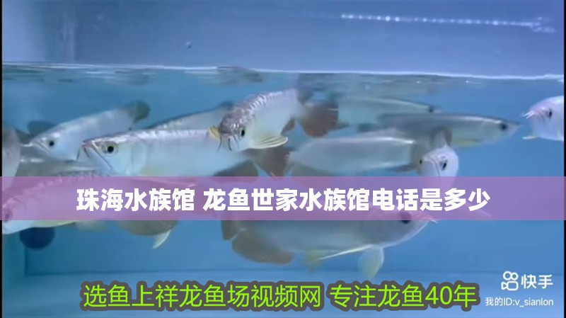 <strong><mark>珠海</mark></strong>水族館 龍魚世家水族館電話是多少