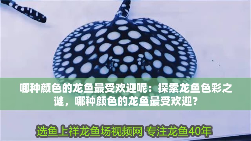 哪種顏色的龍魚最受歡迎呢：探索龍魚色彩之謎，哪種顏色的龍魚最受歡迎？