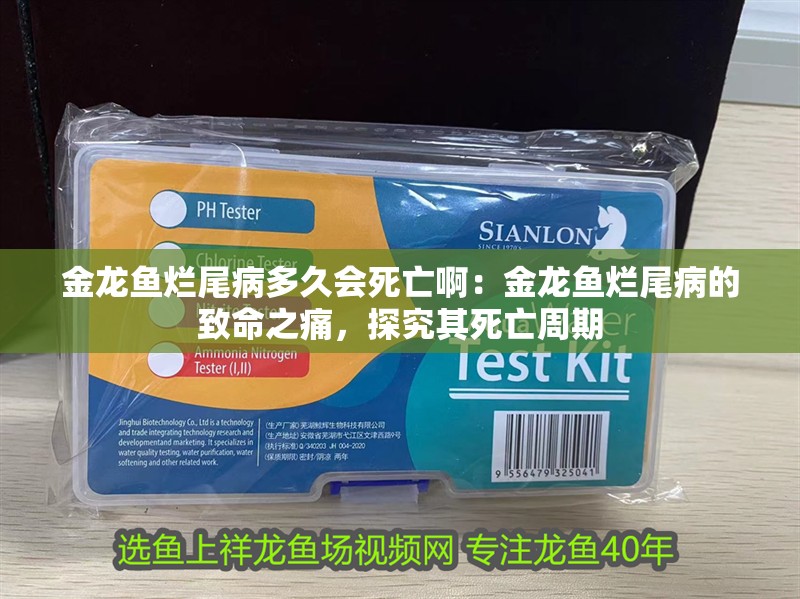 金龍魚爛尾病多久會死亡?。航瘕堲~爛尾病的致命之痛，探究其死亡周期