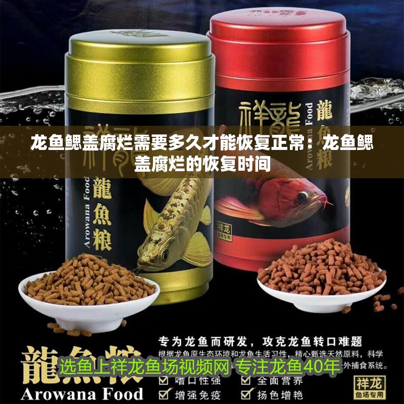 龍魚鰓蓋腐爛需要多久才能恢復正常：龍魚鰓蓋腐爛的恢復時間