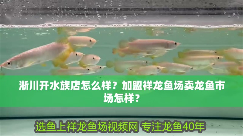 淅川開水族店怎么樣？加盟祥龍魚場賣龍魚市場怎樣？