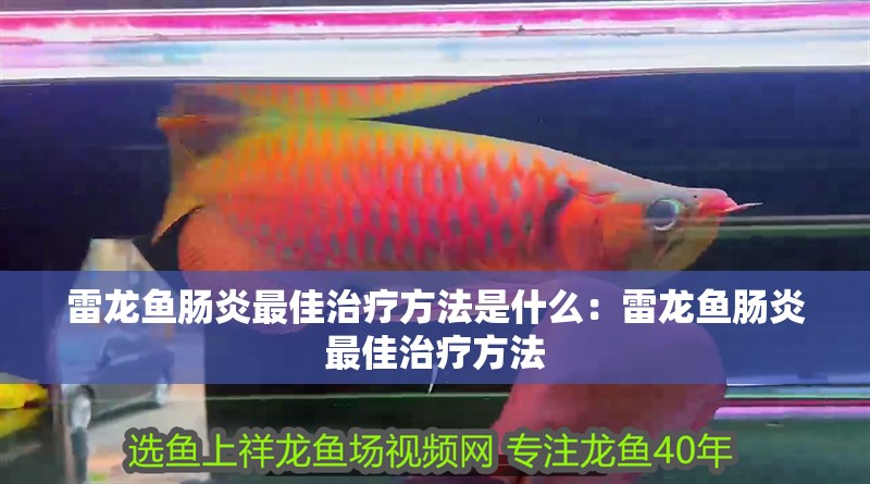 雷龍魚(yú)腸炎最佳治療方法是什么：雷龍魚(yú)腸炎最佳治療方法