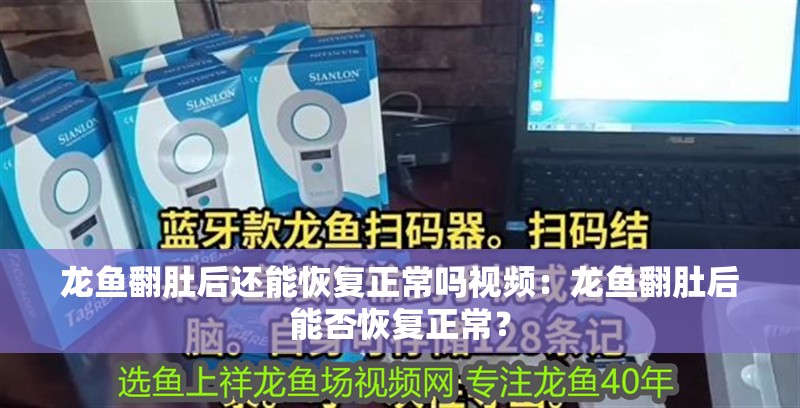 龍魚翻肚后還能恢復(fù)正常嗎視頻：龍魚翻肚后能否恢復(fù)正常？