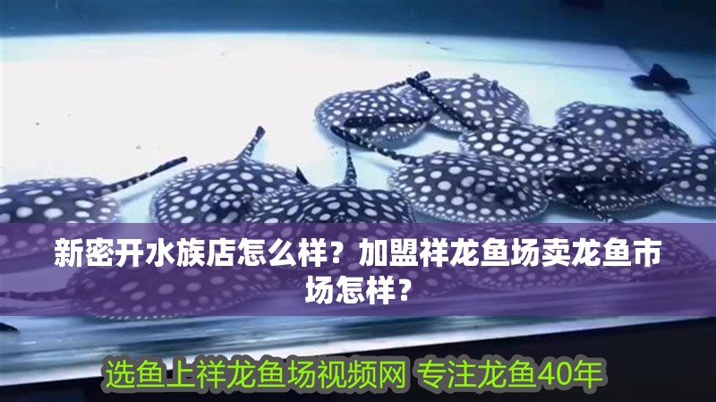 <strong><mark>新密</mark></strong>開水族店怎么樣？加盟祥龍魚場賣龍魚市場怎樣？