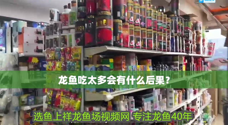 魚缸用增氧泵價格是多少:魚缸增氧機-xtrac增氧機-xtrac增氧機 龍魚吃太多會有什么后果? 龍魚百科 龍魚吃太多會有什么后果? 龍魚吃太多會有什么后果? 龍魚百科