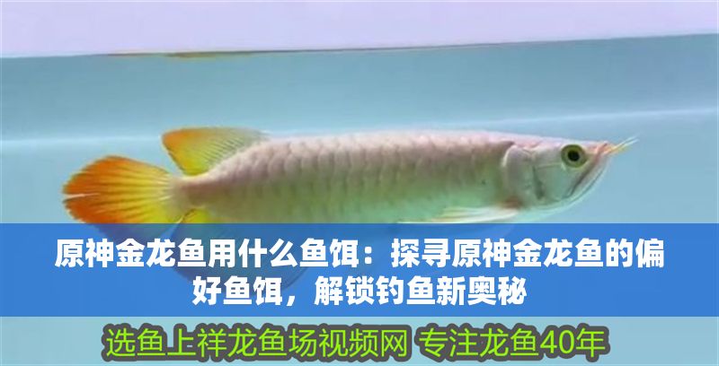 原神金龍魚用什么魚餌：探尋原神金龍魚的偏好魚餌，解鎖釣魚新奧秘