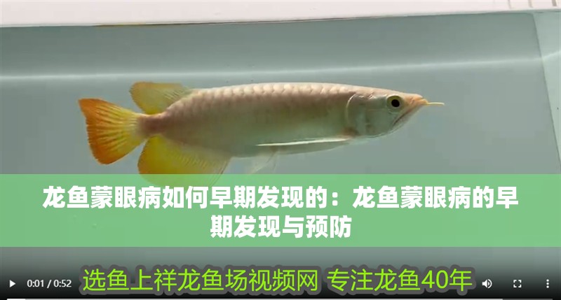 龍魚蒙眼病如何早期發現的：龍魚蒙眼病的早期發現與預防
