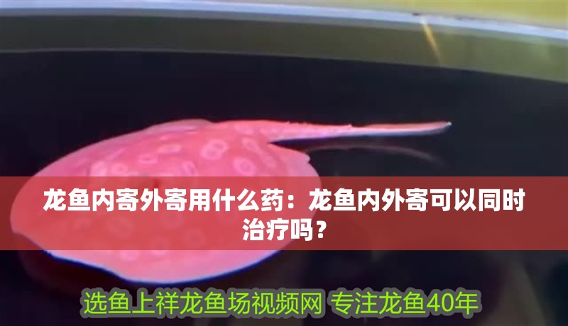 龍魚內(nèi)寄外寄用什么藥：龍魚內(nèi)外寄可以同時(shí)治療嗎？