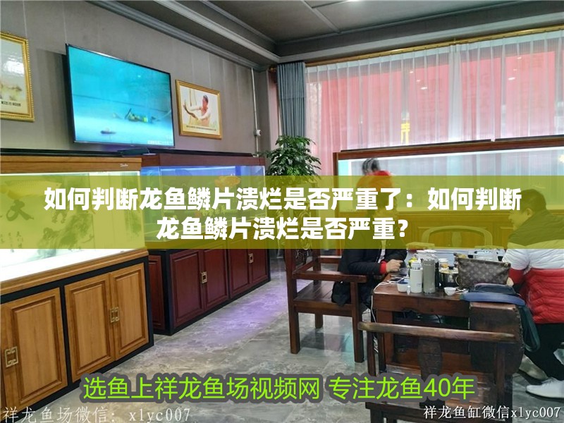 如何判斷龍魚鱗片潰爛是否嚴(yán)重了：如何判斷龍魚鱗片潰爛是否嚴(yán)重？