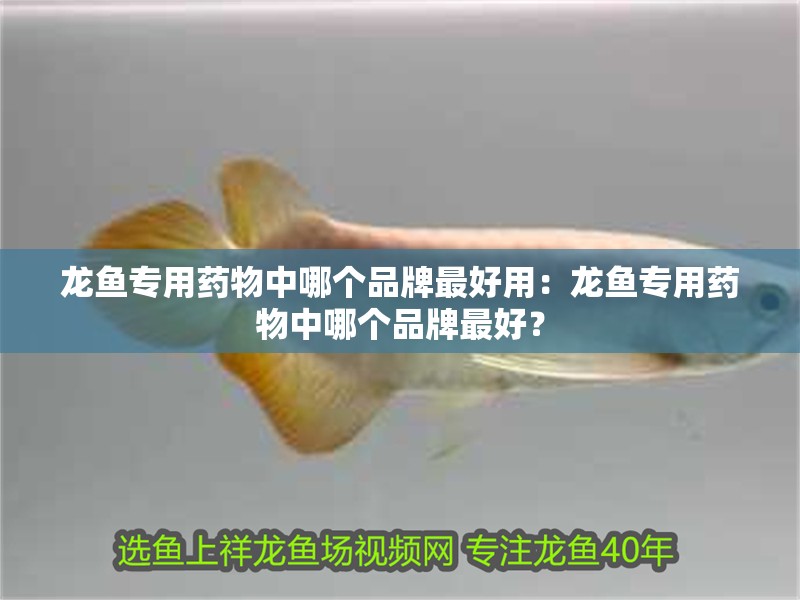 龍魚專用藥物中哪個品牌最好用：龍魚專用藥物中哪個品牌最好？
