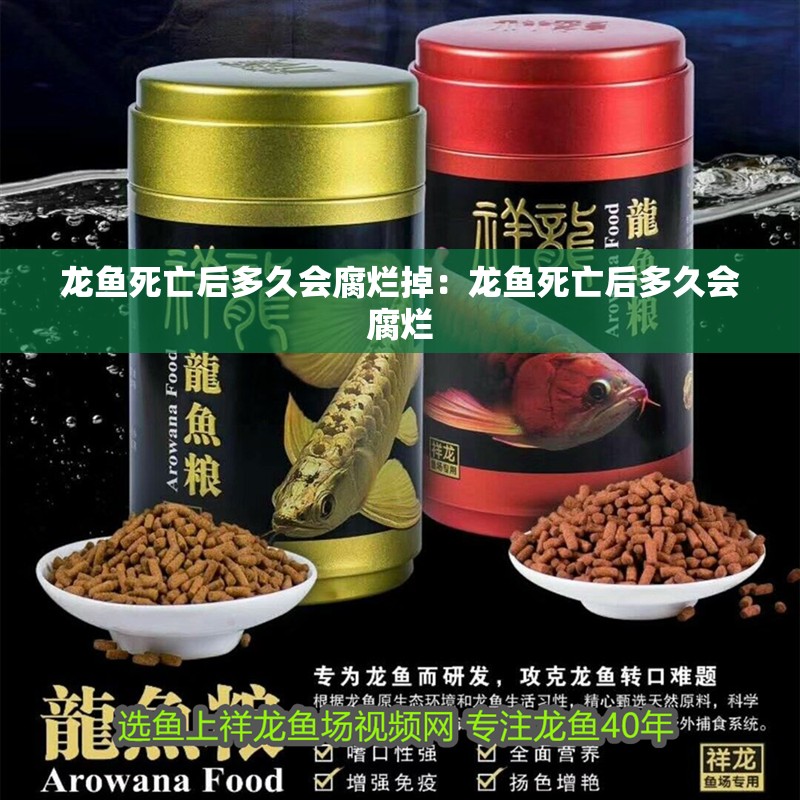 龍魚(yú)死亡后多久會(huì)腐爛掉：龍魚(yú)死亡后多久會(huì)腐爛
