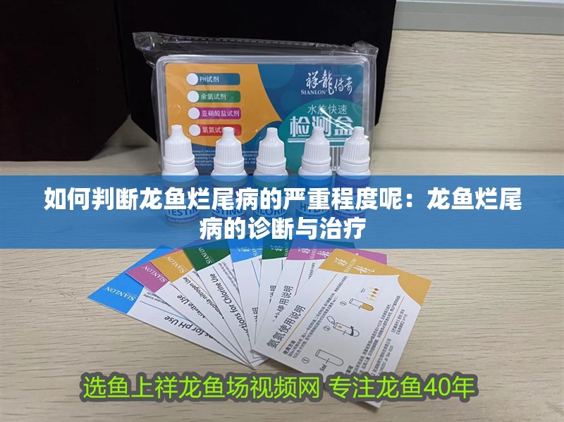 如何判斷龍魚爛尾病的嚴重程度呢：龍魚爛尾病的診斷與治療