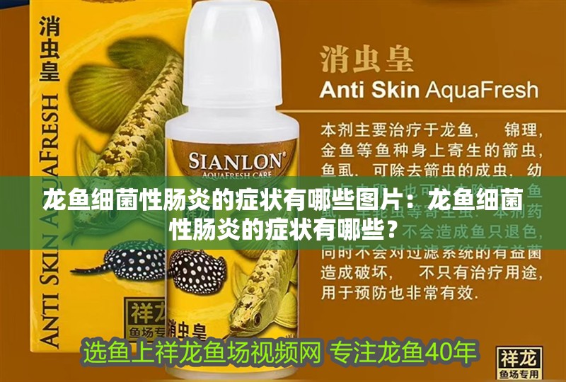 龍魚細菌性腸炎的癥狀有哪些圖片：龍魚細菌性腸炎的癥狀有哪些？
