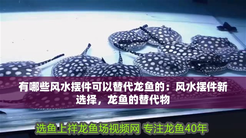 有哪些風水擺件可以替代龍魚的：風水擺件新選擇，龍魚的替代物