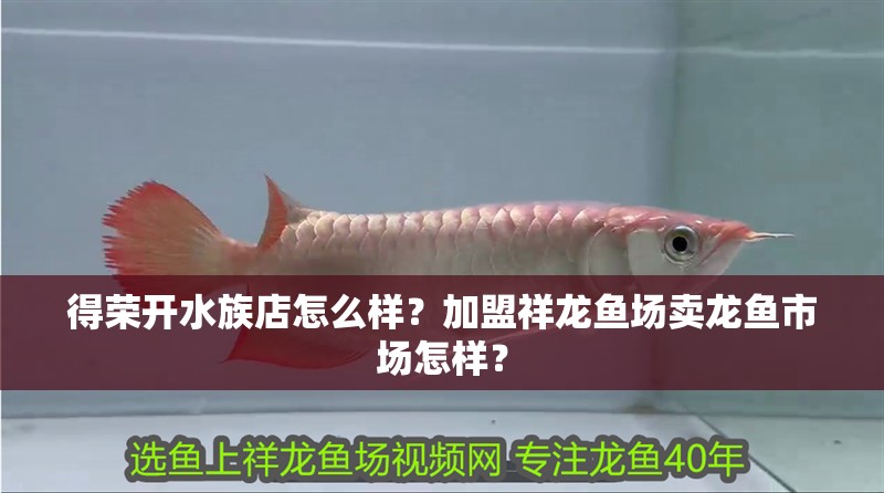 得榮開水族店怎么樣？加盟祥龍魚場賣龍魚市場怎樣？