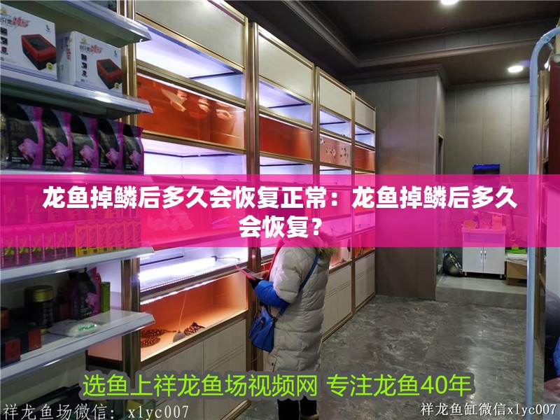 龍魚掉鱗后多久會恢復正常：龍魚掉鱗后多久會恢復？