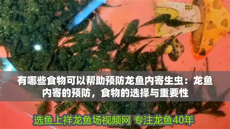 有哪些食物可以幫助預防龍魚內寄生蟲：龍魚內寄的預防，食物的選擇與重要性