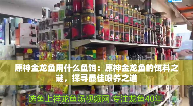 原神金龍魚用什么魚餌：原神金龍魚的餌料之謎，探尋最佳喂養(yǎng)之道