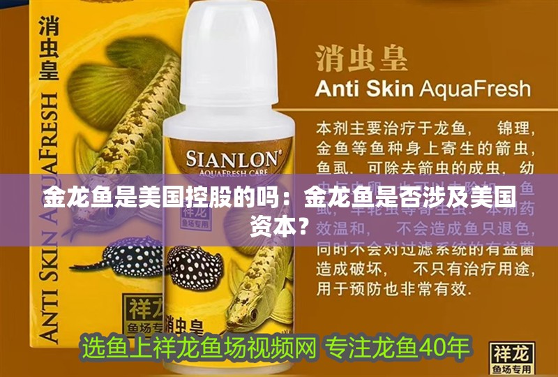 金龍魚是美國控股的嗎：金龍魚是否涉及美國資本？