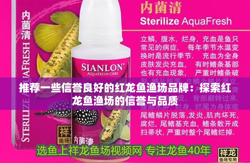 推薦一些信譽良好的紅龍魚漁場品牌：探索紅龍魚漁場的信譽與品質