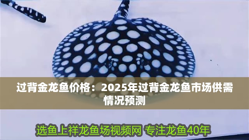 過背金龍魚價格：2025年過背金龍魚市場供需情況預測