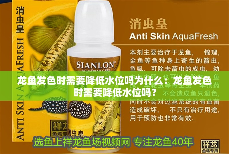 龍魚發色時需要降低水位嗎為什么：龍魚發色時需要降低水位嗎？ 龍魚發色時需要降低水位嗎為什么：龍魚發色時需要降低水位嗎？ 水族問答
