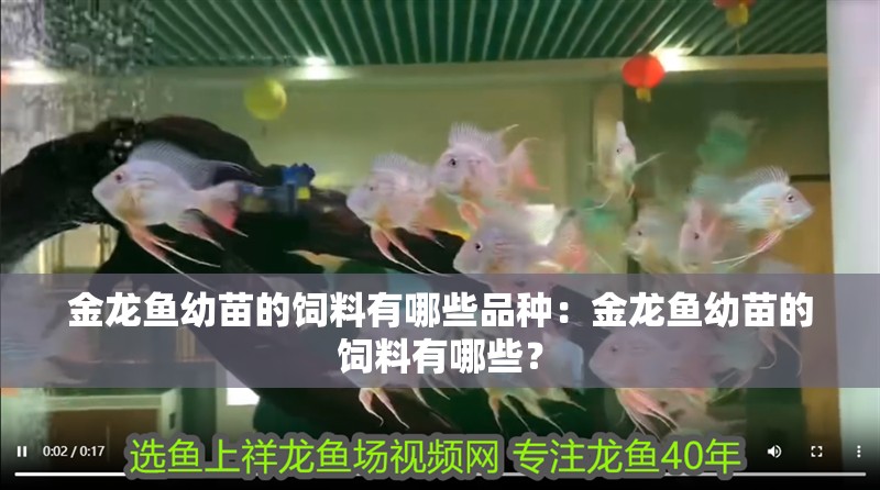 金龍魚幼苗的飼料有哪些品種：金龍魚幼苗的飼料有哪些？