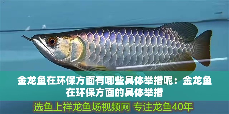 金龍魚在環保方面有哪些具體舉措呢：金龍魚在環保方面的具體舉措