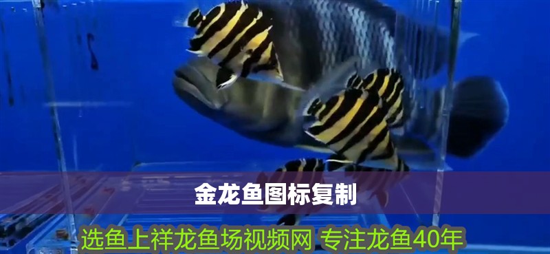 金龍魚圖標復制