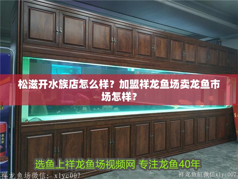 松滋開水族店怎么樣？加盟祥龍魚場賣龍魚市場怎樣？ 松滋開水族店怎么樣？加盟祥龍魚場賣龍魚市場怎樣？ 水族館百科（水族館加盟）