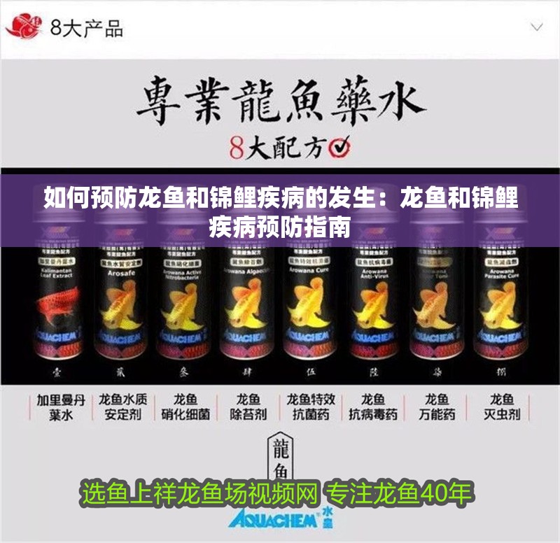 如何預防龍魚和錦鯉疾病的發生：龍魚和錦鯉疾病預防指南