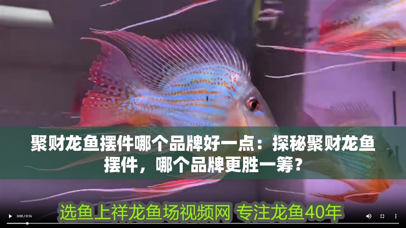 聚財龍魚擺件哪個品牌好一點：探秘聚財龍魚擺件，哪個品牌更勝一籌？