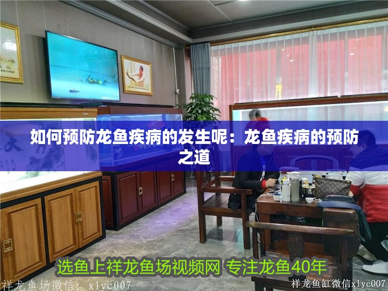 如何預防龍魚疾病的發(fā)生呢：龍魚疾病的預防之道