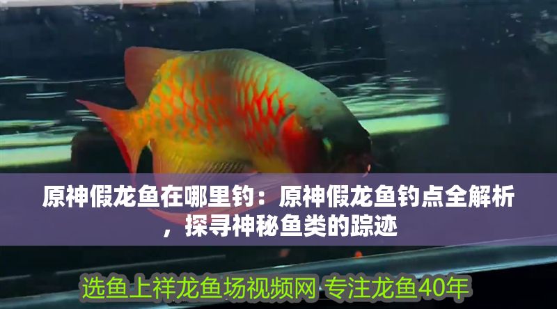原神假龍魚在哪里釣：原神假龍魚釣點全解析，探尋神秘魚類的蹤跡