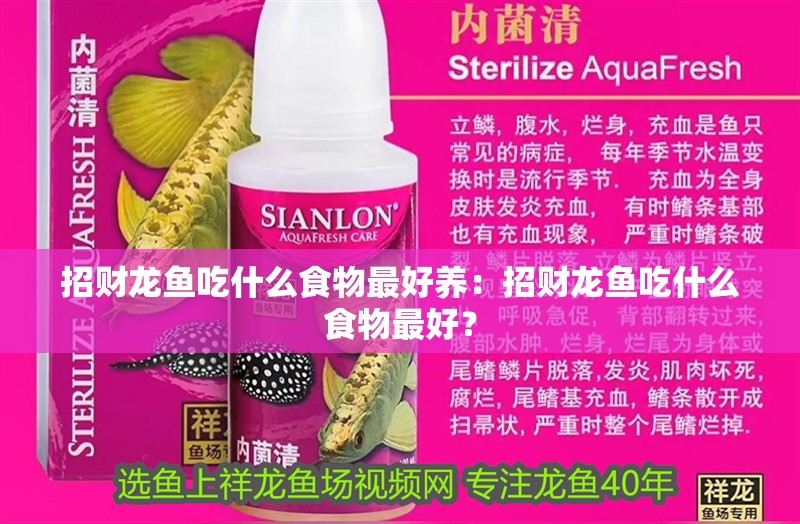招財龍魚吃什么食物最好養：招財龍魚吃什么食物最好？