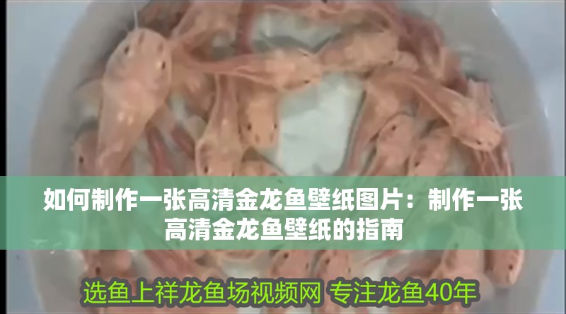 如何制作一張高清金龍魚壁紙圖片：制作一張高清金龍魚壁紙的指南