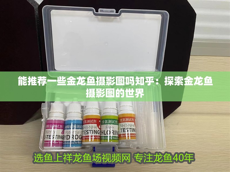 能推薦一些金龍魚攝影圖嗎知乎：探索金龍魚攝影圖的世界