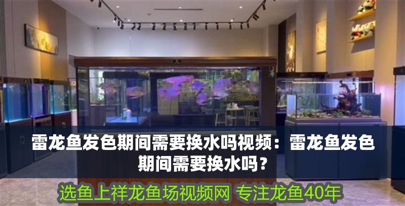 雷龍魚發色期間需要換水嗎視頻：雷龍魚發色期間需要換水嗎？