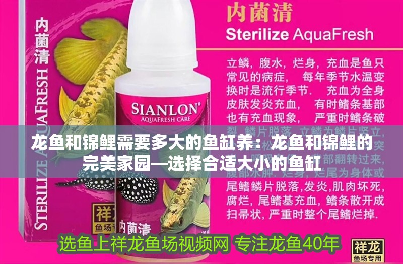 龍魚和錦鯉需要多大的魚缸養：龍魚和錦鯉的完美家園—選擇合適大小的魚缸
