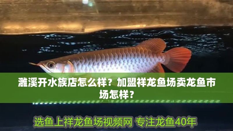 濉溪開水族店怎么樣？加盟祥龍魚場賣龍魚市場怎樣？