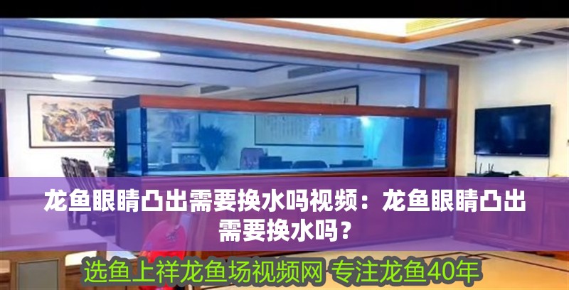 龍魚眼睛凸出需要換水嗎視頻：龍魚眼睛凸出需要換水嗎？