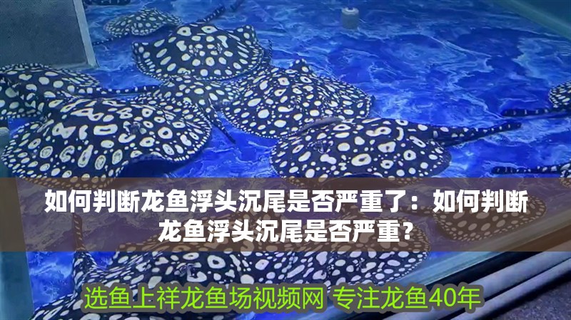 如何判斷龍魚浮頭沉尾是否嚴(yán)重了：如何判斷龍魚浮頭沉尾是否嚴(yán)重？