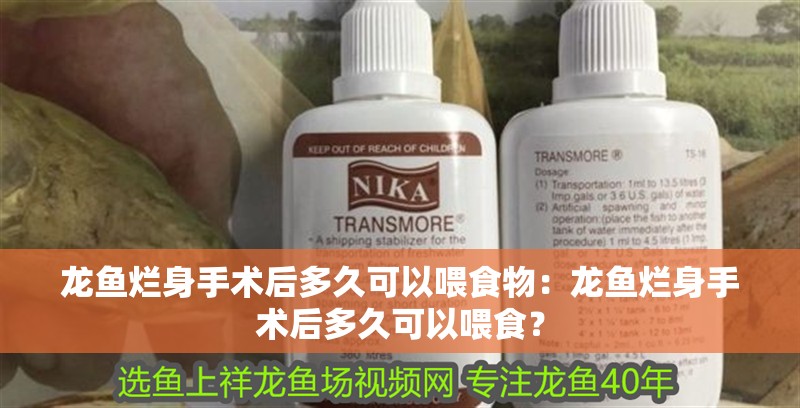 龍魚爛身手術后多久可以喂食物：龍魚爛身手術后多久可以喂食？