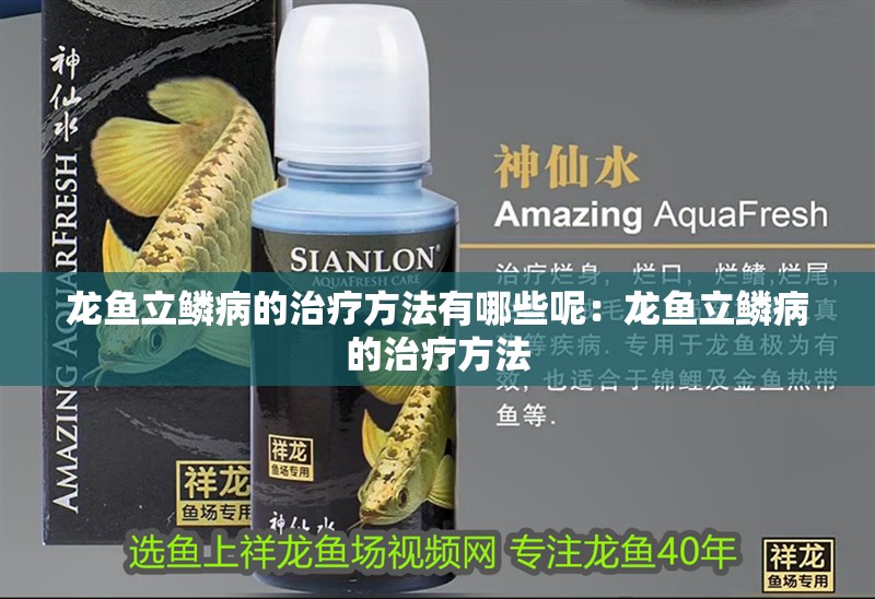 龍魚立鱗病的治療方法有哪些呢：龍魚立鱗病的治療方法