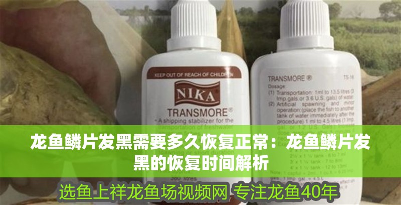 龍魚鱗片發黑需要多久恢復正常：龍魚鱗片發黑的恢復時間解析