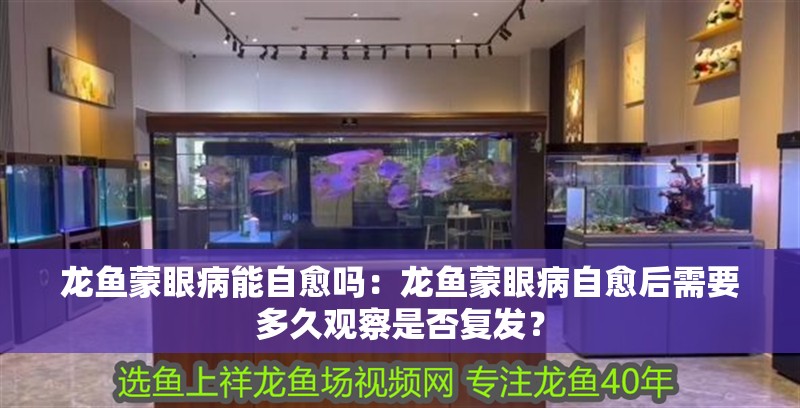 龍魚蒙眼病能自愈嗎：龍魚蒙眼病自愈后需要多久觀察是否復發？
