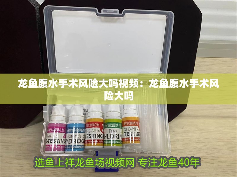 龍魚腹水手術風險大嗎視頻：龍魚腹水手術風險大嗎