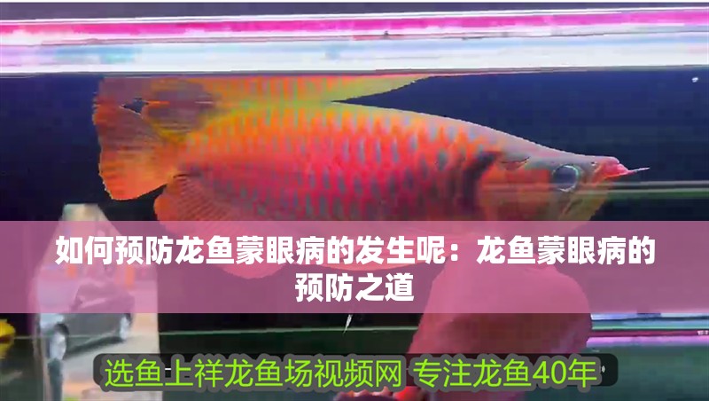 如何預防龍魚蒙眼病的發生呢：龍魚蒙眼病的預防之道